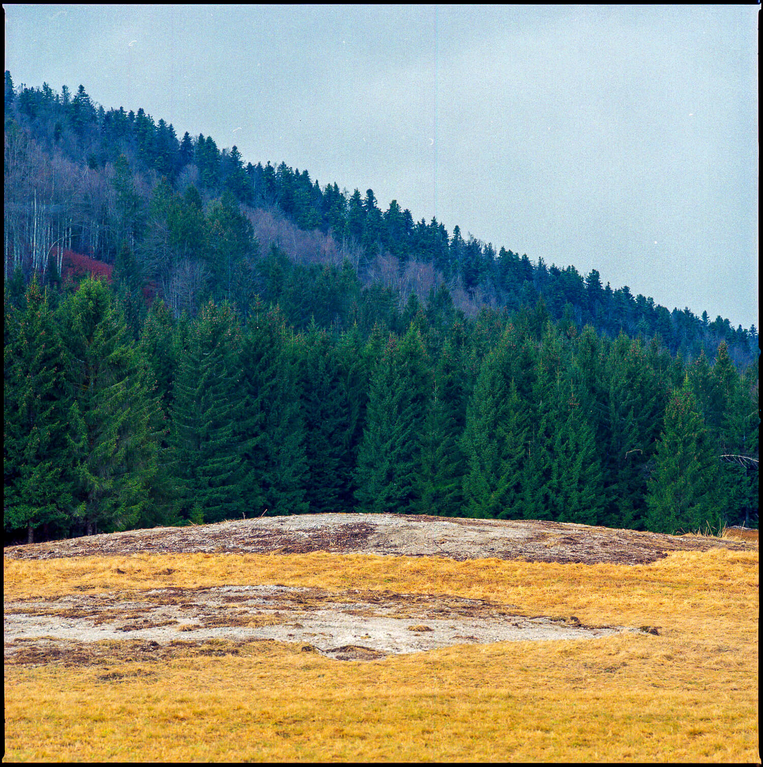 Babno Polje